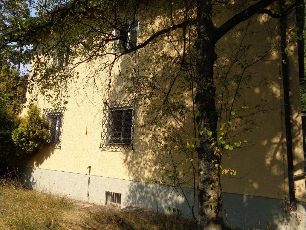 Gelbe Gebäudefassade mit vergitterten Fenstern und einem Baum im Vordergrund, umgeben von Vegetation.
