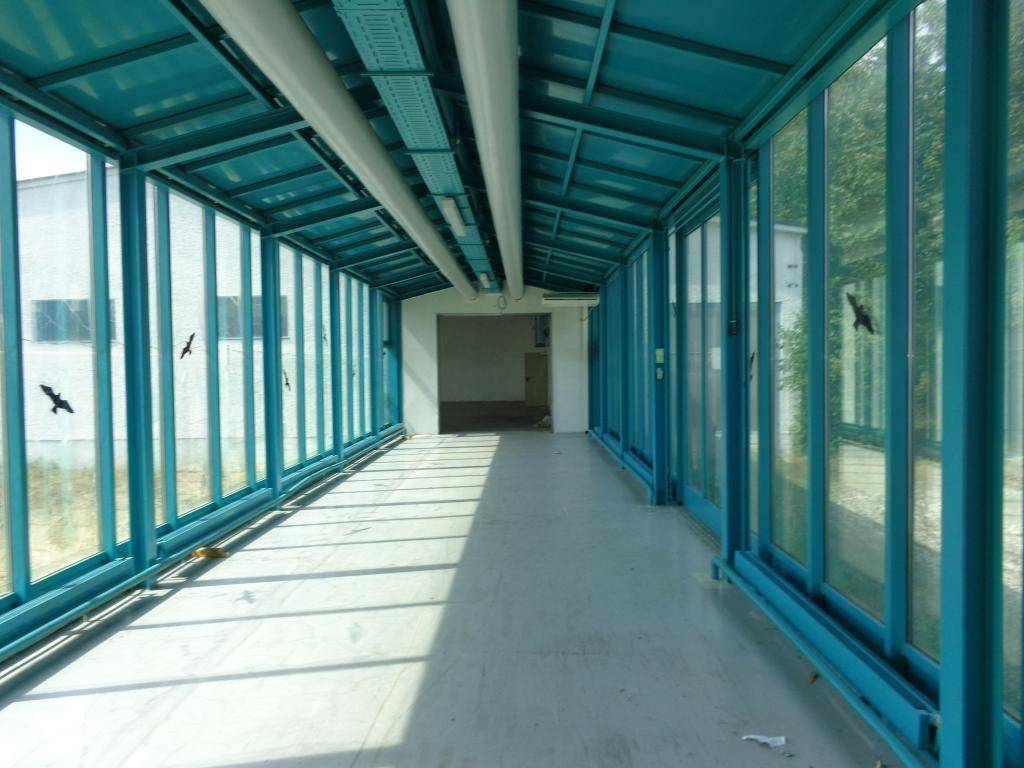 Ein langer, verglaster Gang mit blauem Rahmen und Oberlichtern, der viel Tageslicht hereinlässt.