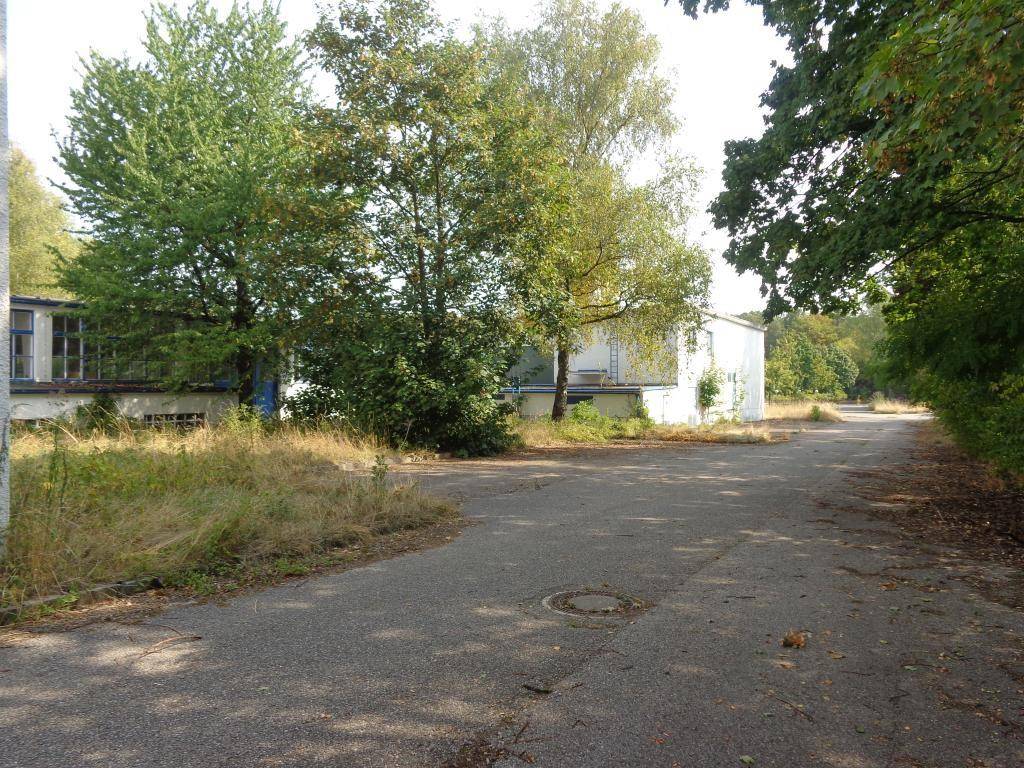 Eine asphaltierte Straße führt durch ein bewachsenes Gelände mit Bäumen und Gebäuden im Hintergrund.