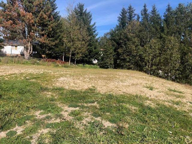 Unbebautes Grundstück mit Gras und Bäumen im Hintergrund, ideal für den Bau eines Eigenheims.