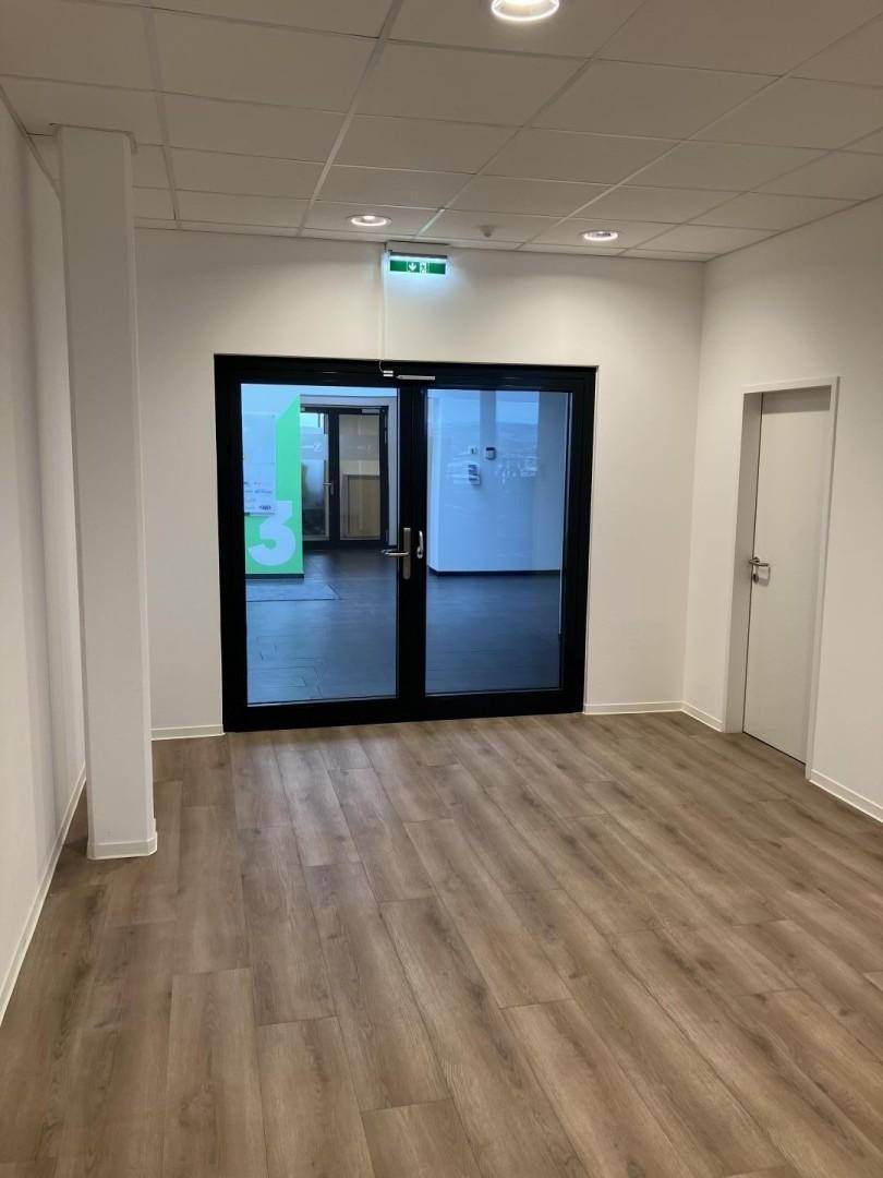 Eingangsbereich eines Büros mit Glastüren und Laminatboden, der zu weiteren Räumen führt.