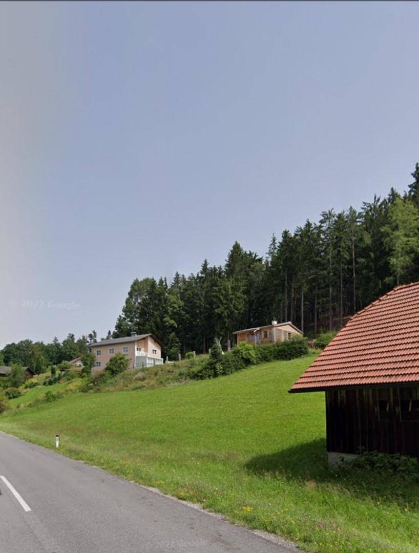 Ländliche Straße mit grüner Wiese und Waldrand, Häuser in der Ferne sichtbar.