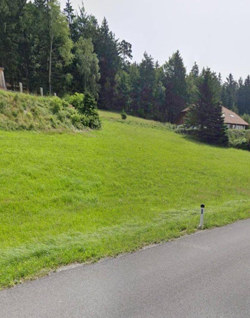 Grüne Wiese an einem Hang neben einer Straße mit Wald im Hintergrund.