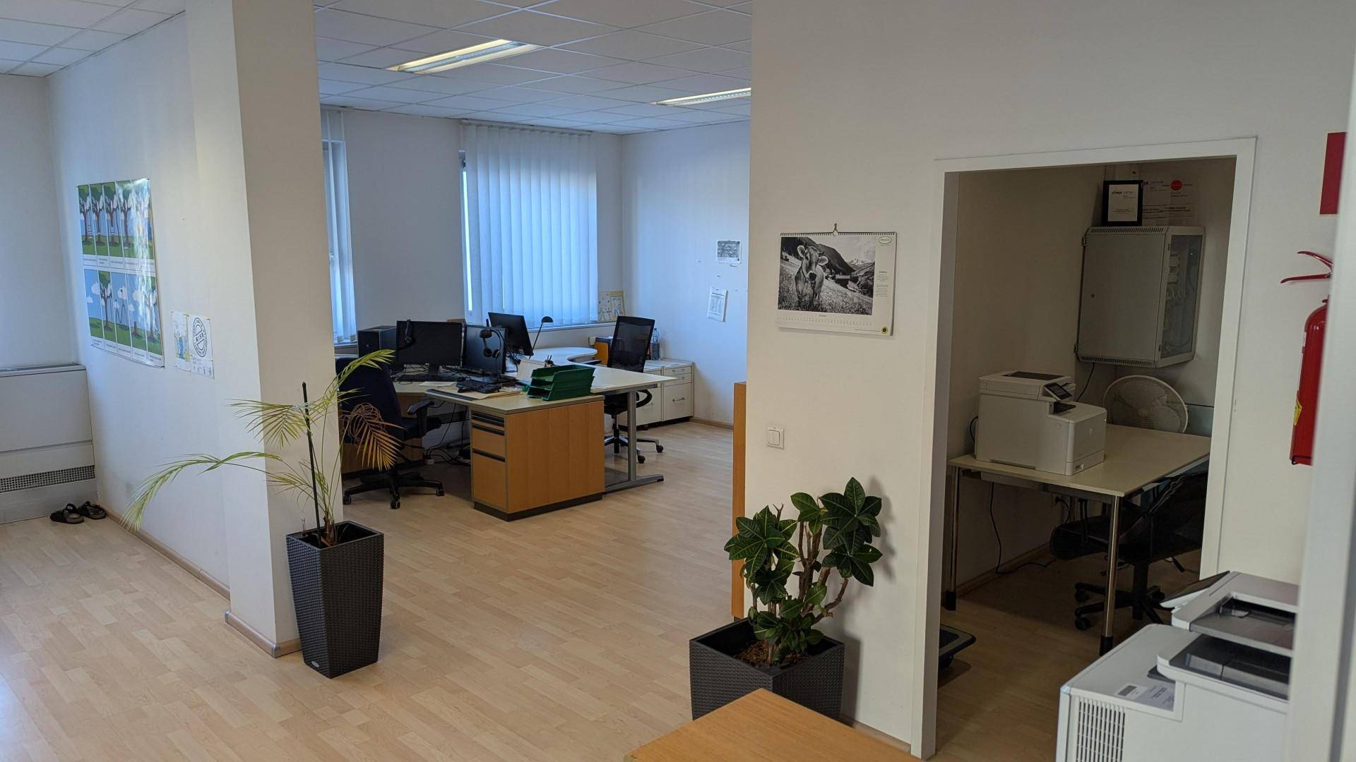 Offener Bürobereich mit mehreren Arbeitsplätzen, Pflanzen und einem separaten Raum im Hintergrund.