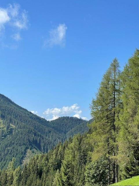 Weitblick über bewaldete Hügel und Berge unter einem strahlend blauen Himmel mit Wolken.
