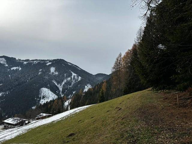 Weitläufiger Blick über einen grünen Hang mit Wald und schneebedeckten Bergen in der Ferne.