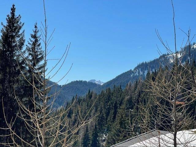 Winterlicher Bergblick durch kahle Äste auf schneebedeckte Gipfel und Wälder.