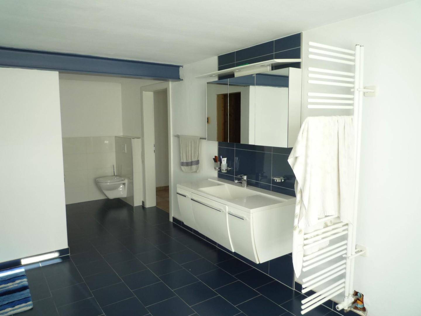 Badezimmer mit modernem Waschtisch, beheiztem Handtuchhalter und separatem WC-Bereich.