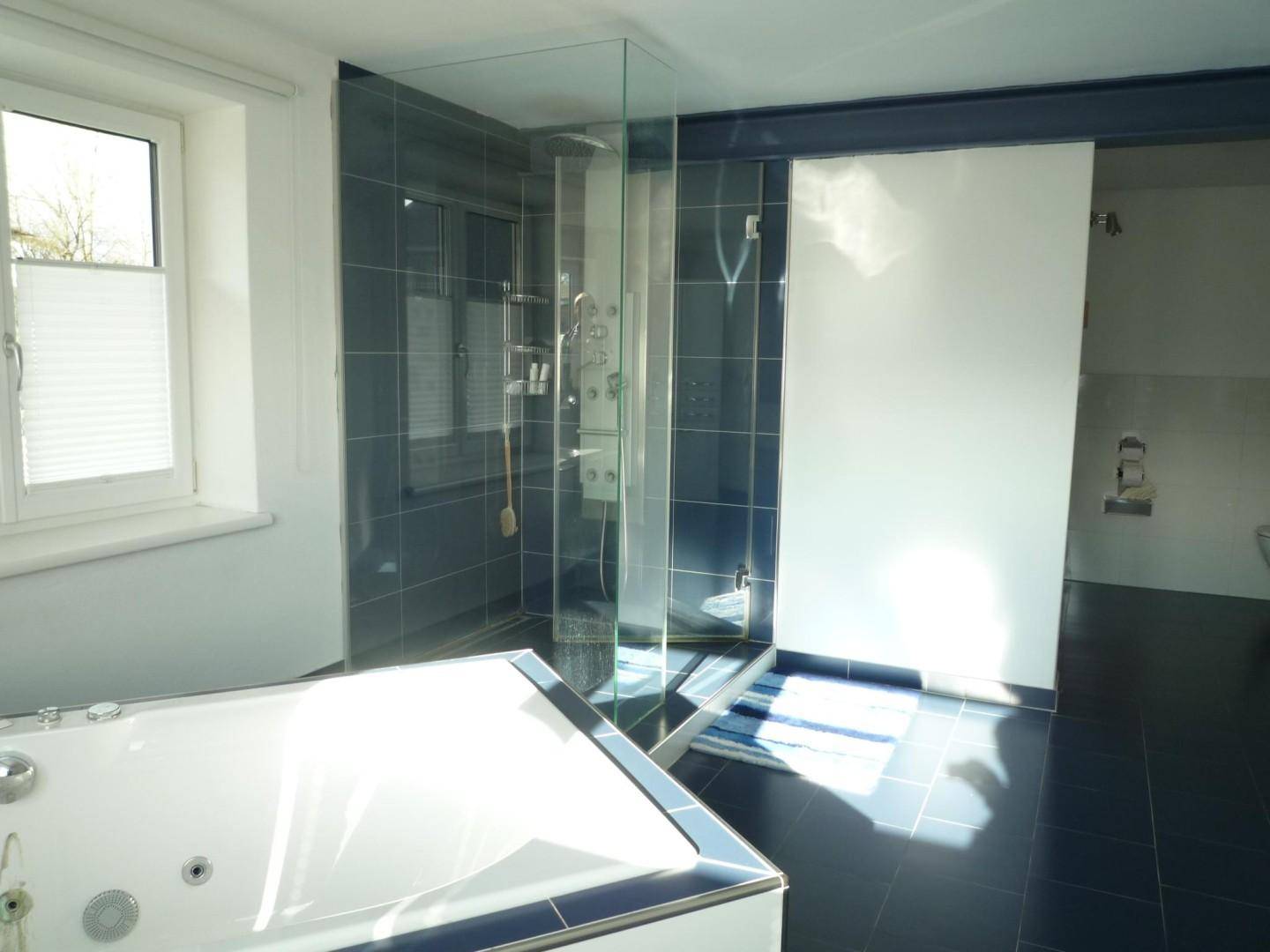 Modernes Badezimmer mit großer Glasdusche, Whirlpool und dunklen Fliesen.