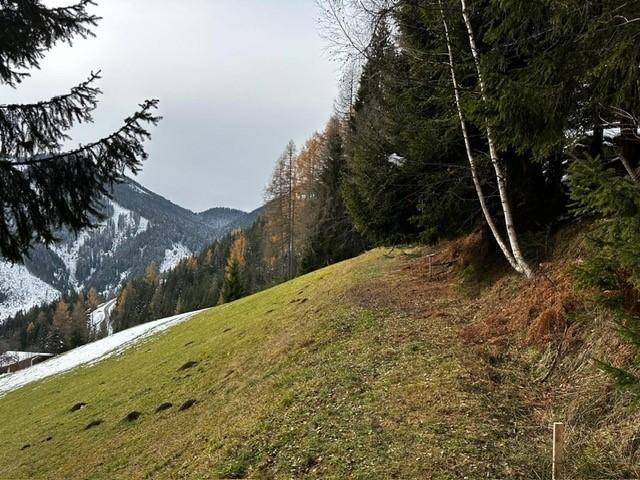 Grüner Hang mit Schneeflecken und bewaldeten Bergen im Hintergrund unter bewölktem Himmel.