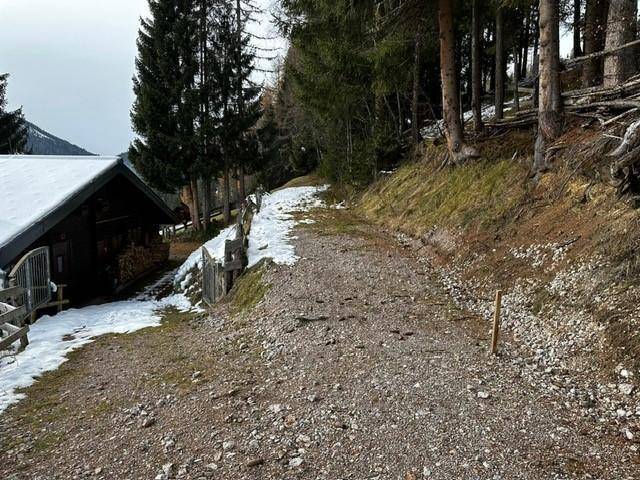 Schotterweg führt zu einer rustikalen Hütte am Waldrand mit Schneeresten und Bäumen.