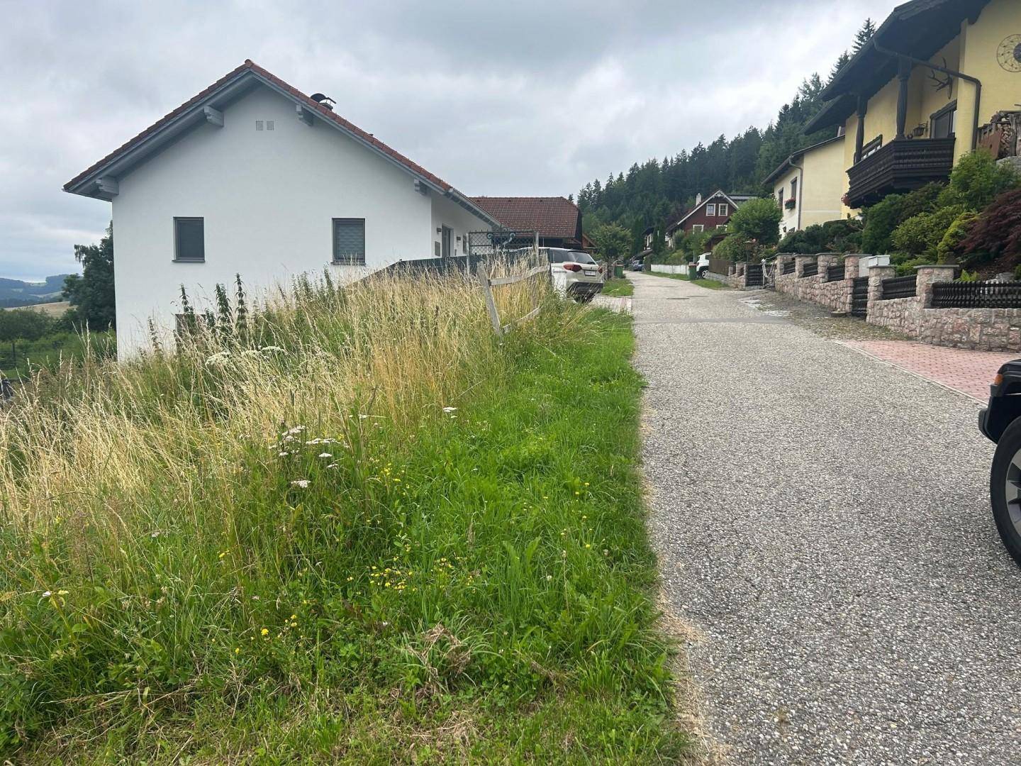 Ansicht eines weißen Hauses von der Straße aus, umgeben von einer grasbewachsenen Böschung.