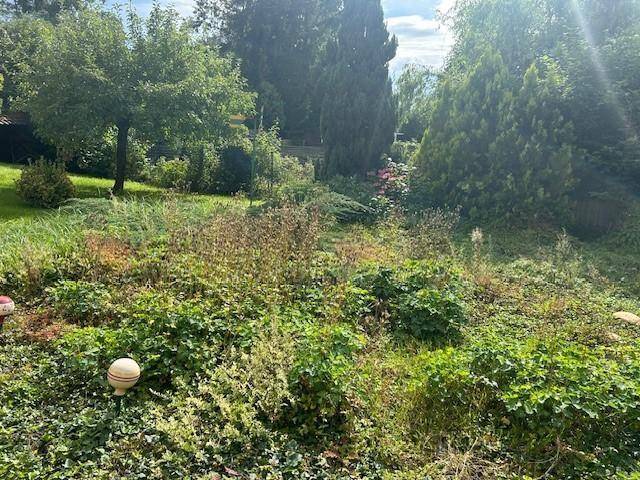 unterer Garten
