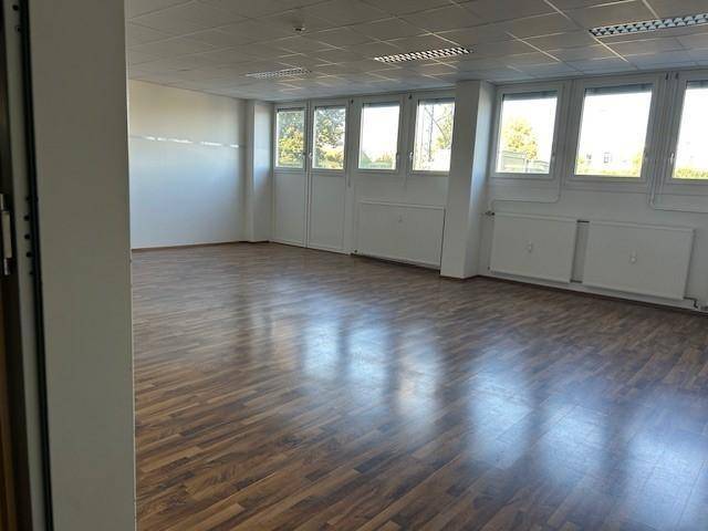 Geräumiges Büro mit Laminatboden, vielen Fenstern und einer hellen, freundlichen Atmosphäre.