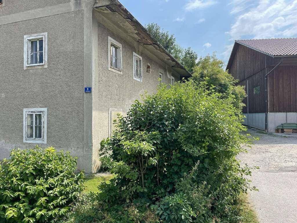 Seitenansicht des alten Gebäudes mit verputzter Fassade und üppiger Bepflanzung im Vordergrund.