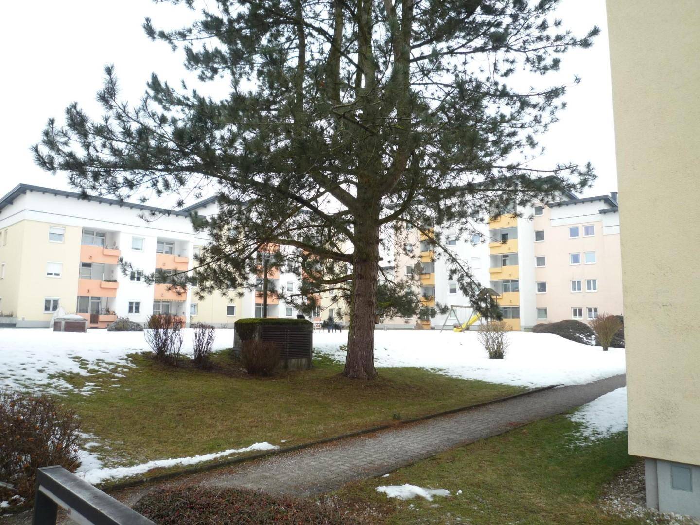 Außenansicht einer Wohnanlage mit zentraler Grünfläche, großem Baum und verschneitem Rasen im Winter.