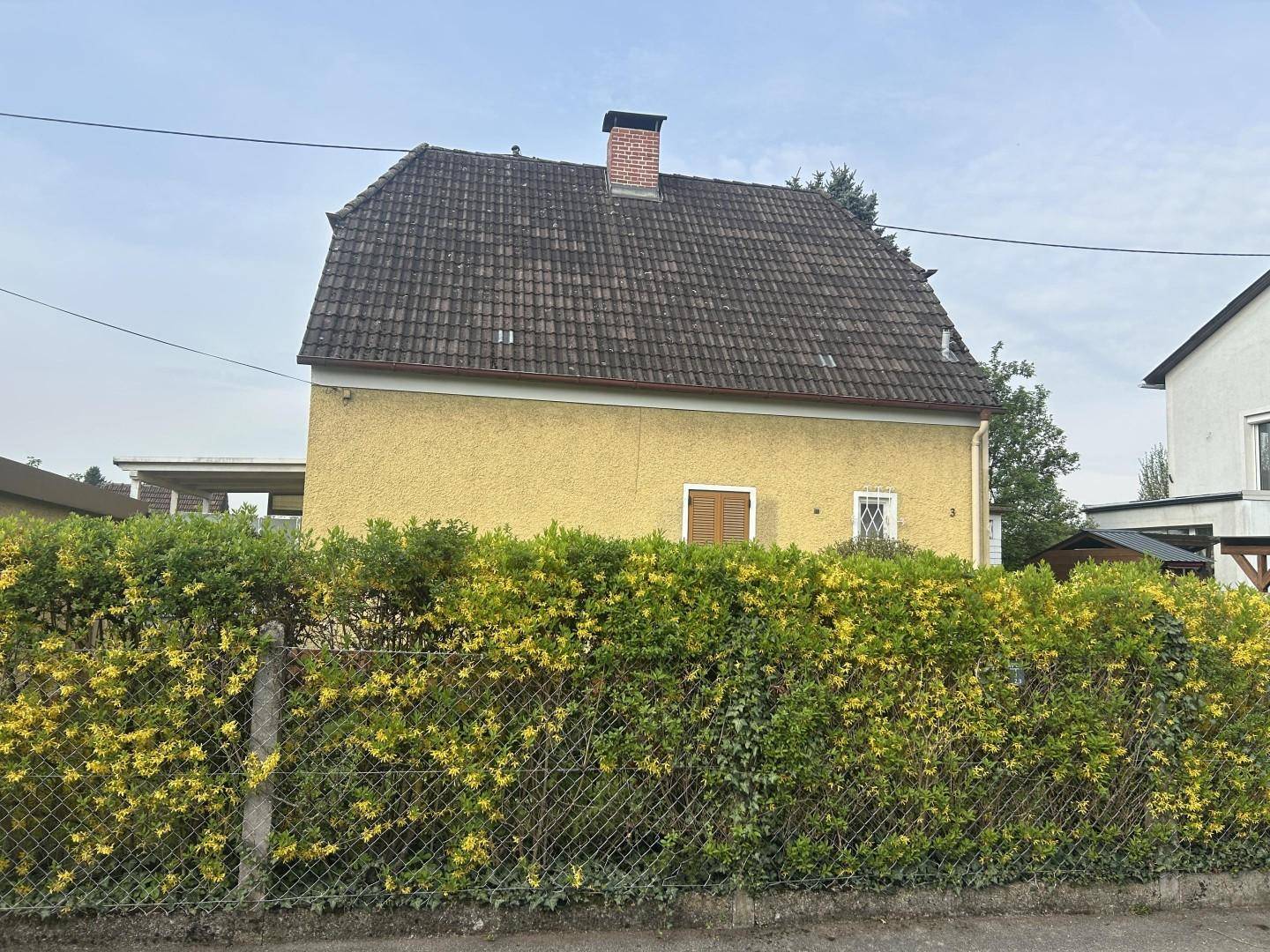 Rückansicht eines gelben Einfamilienhauses mit Satteldach, geschützt durch eine blühende Hecke.