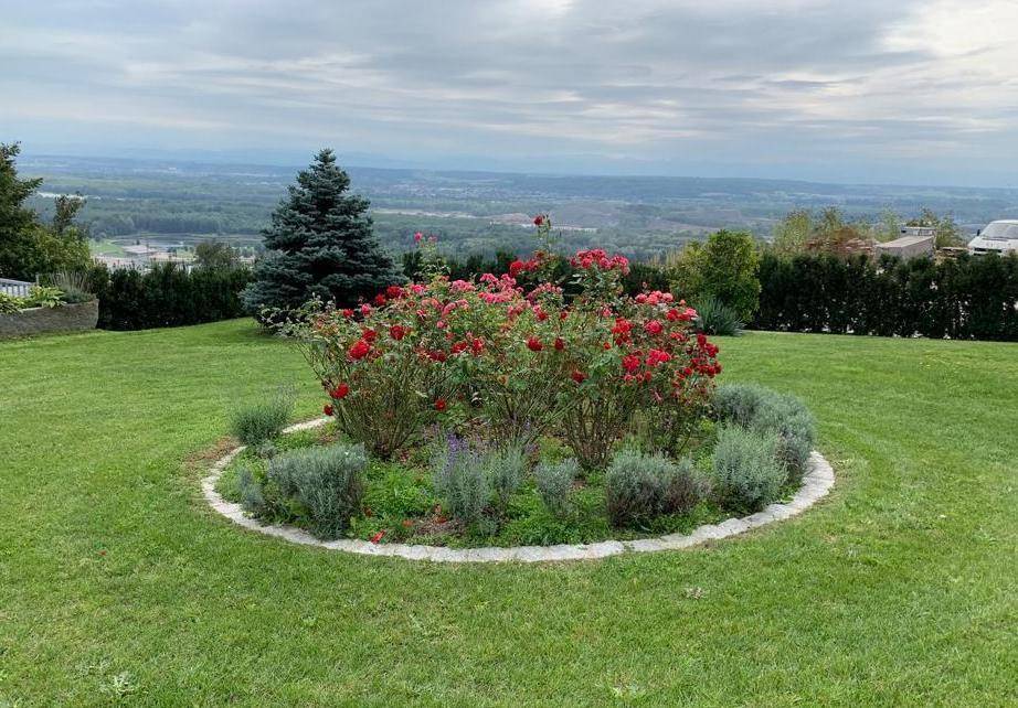 Großes Grundstück in der Bergsiedlung - teilbar !!! Herrliche Aussicht - AUCH FÜR BAUTRÄGER GEEIGNET! - Ansicht 4