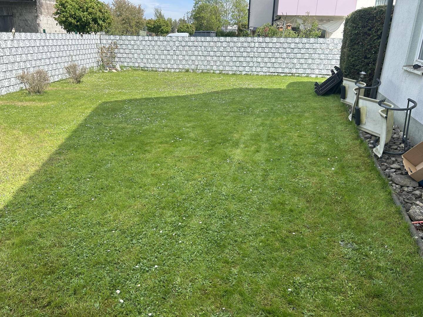 Gepflegter Rasengarten mit grüner Hecke und Zaun, ideal zum Entspannen im Freien.