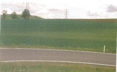 Gepflasterte Straße mit Kurve im Vordergrund, umgeben von grünen Feldern und Strommasten unter bewölktem Himmel.