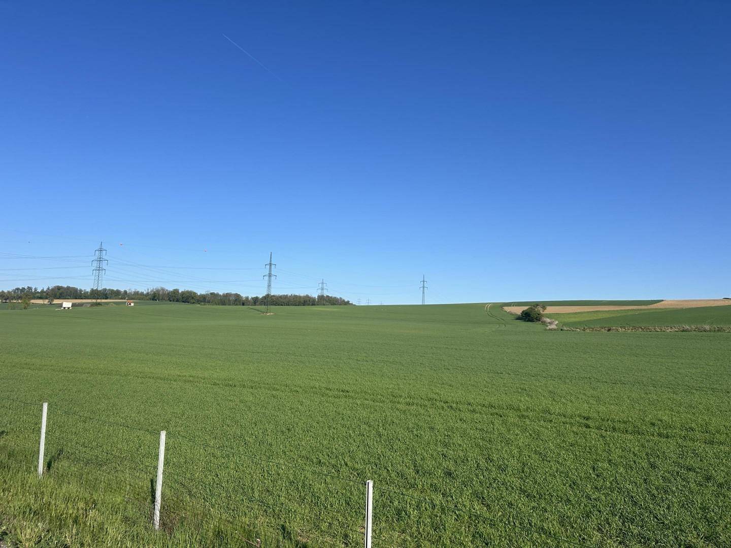 Weite grüne Felder unter einem klaren blauen Himmel mit Strommasten in der Ferne.