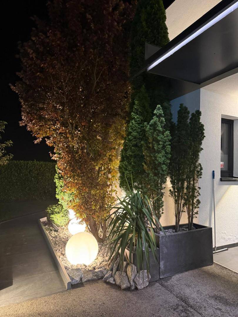 Beleuchtete Gartenlandschaft bei Nacht mit dekorativen Kugelleuchten und verschiedenen Pflanzen.