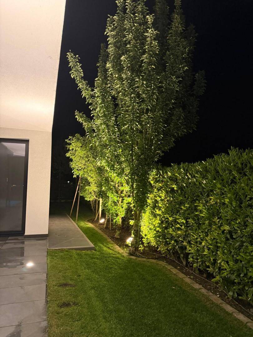 Beleuchteter Gartenweg bei Nacht entlang des Hauses mit Bäumen und einer gepflegten Hecke.
