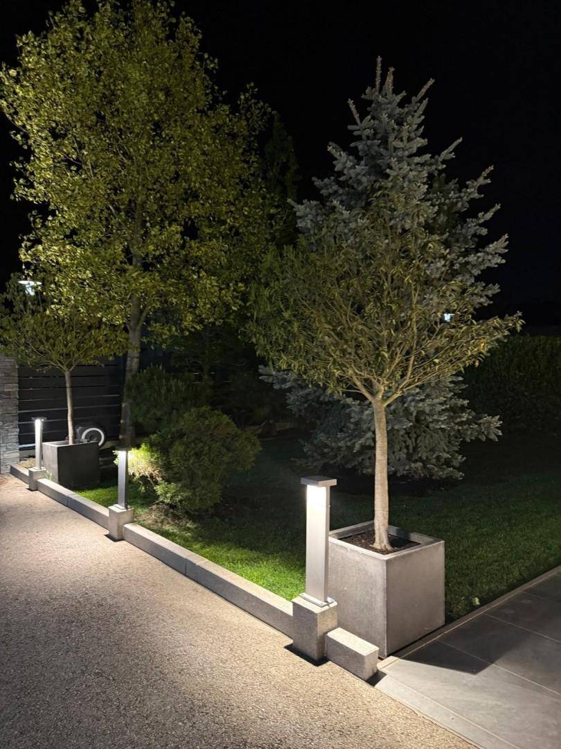 Stilvolle Gartenbeleuchtung bei Nacht mit Bäumen in Betonkübeln und Wegleuchten.