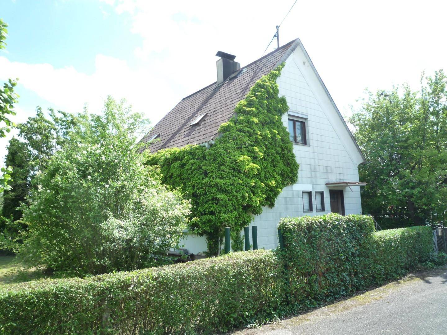Seitenansicht des Hauses mit üppigem Efeu an der Fassade und einem Satteldach.