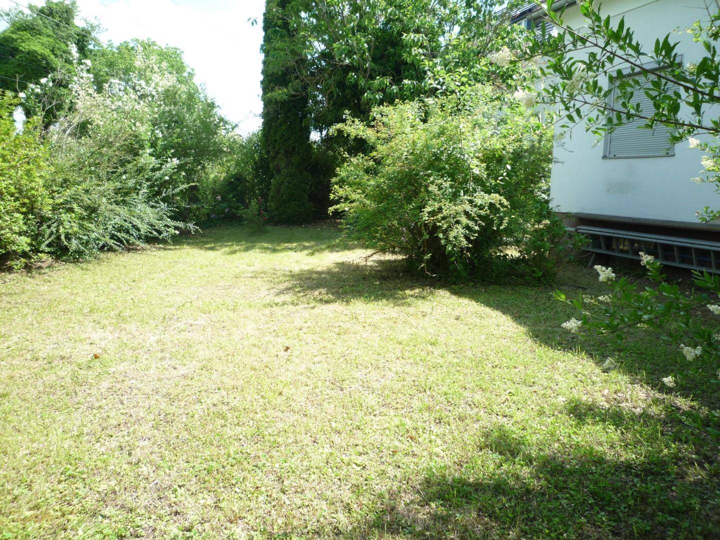 Großer, grüner Gartenbereich mit Rasenfläche und verschiedenen Bäumen und Sträuchern.