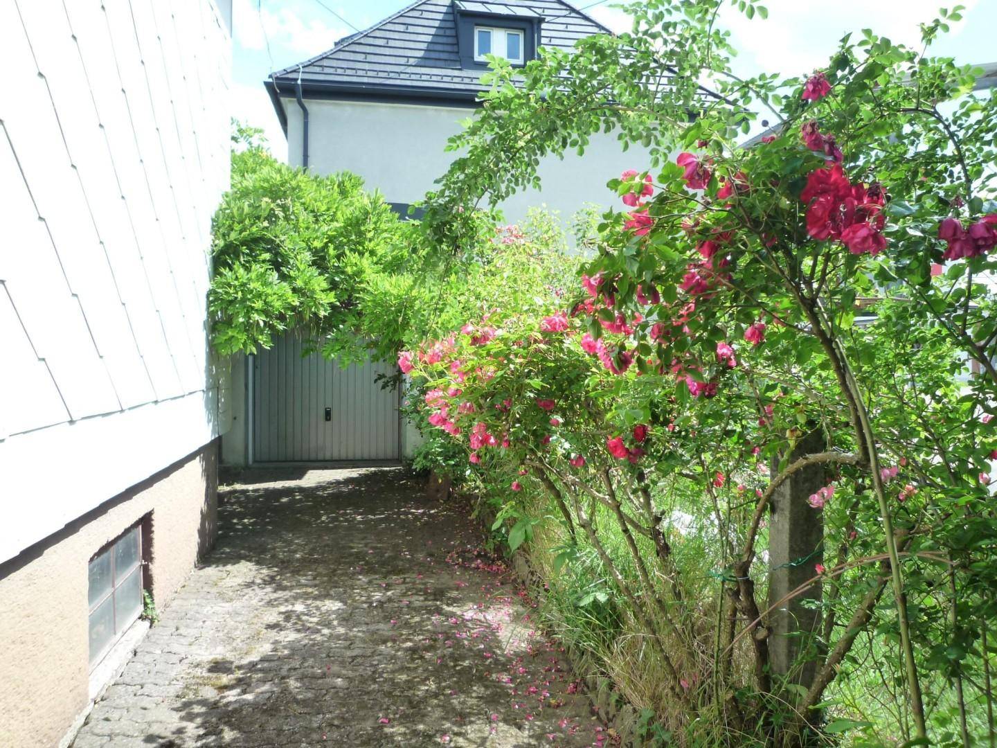 Gepflasterte Zufahrt zur Garage, gesäumt von blühenden Rosenbüschen und Grünflächen.