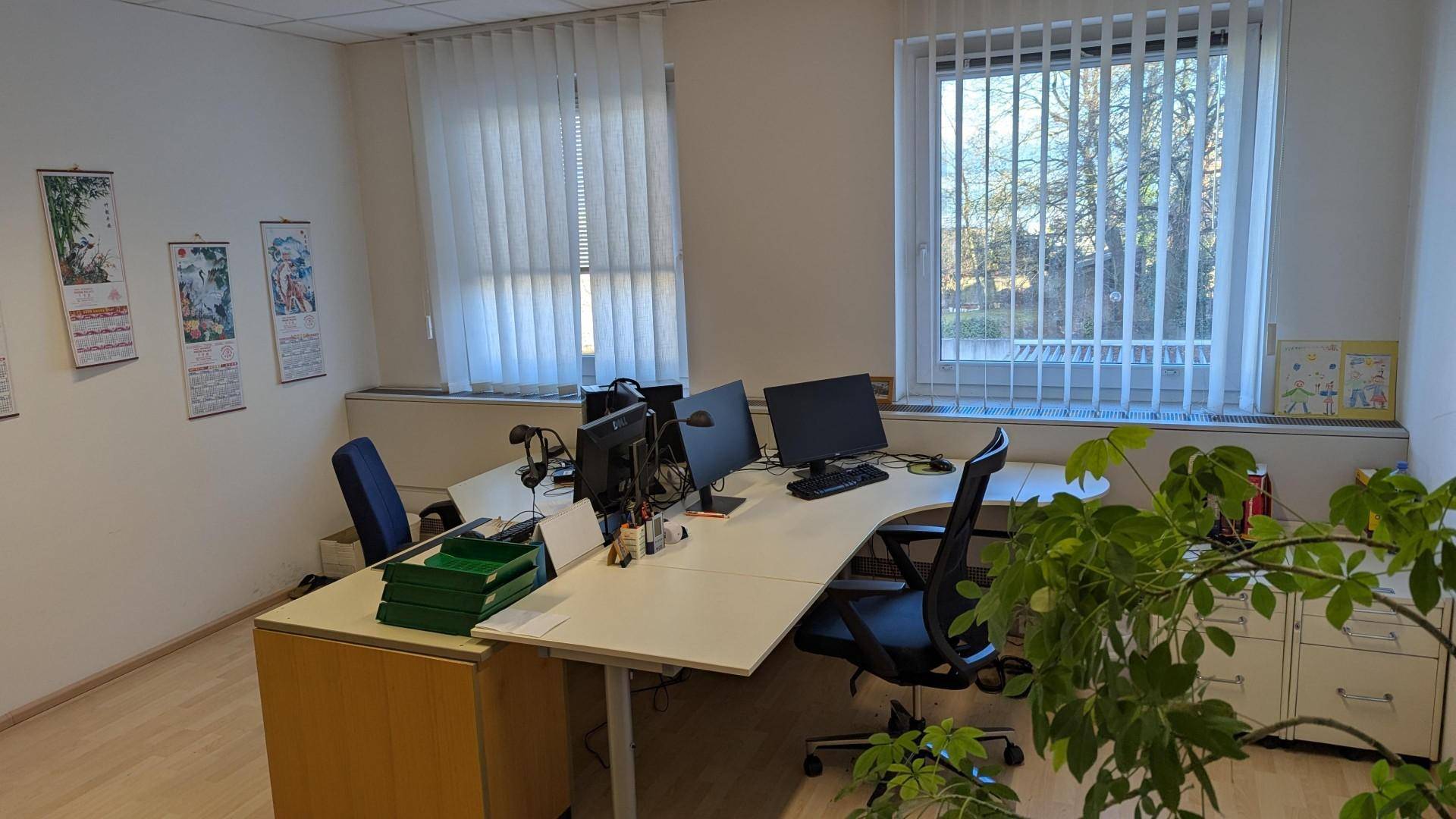 Geräumiges Büro mit mehreren Schreibtischen, Pflanzen und Fenstern mit Jalousien für Tageslicht.