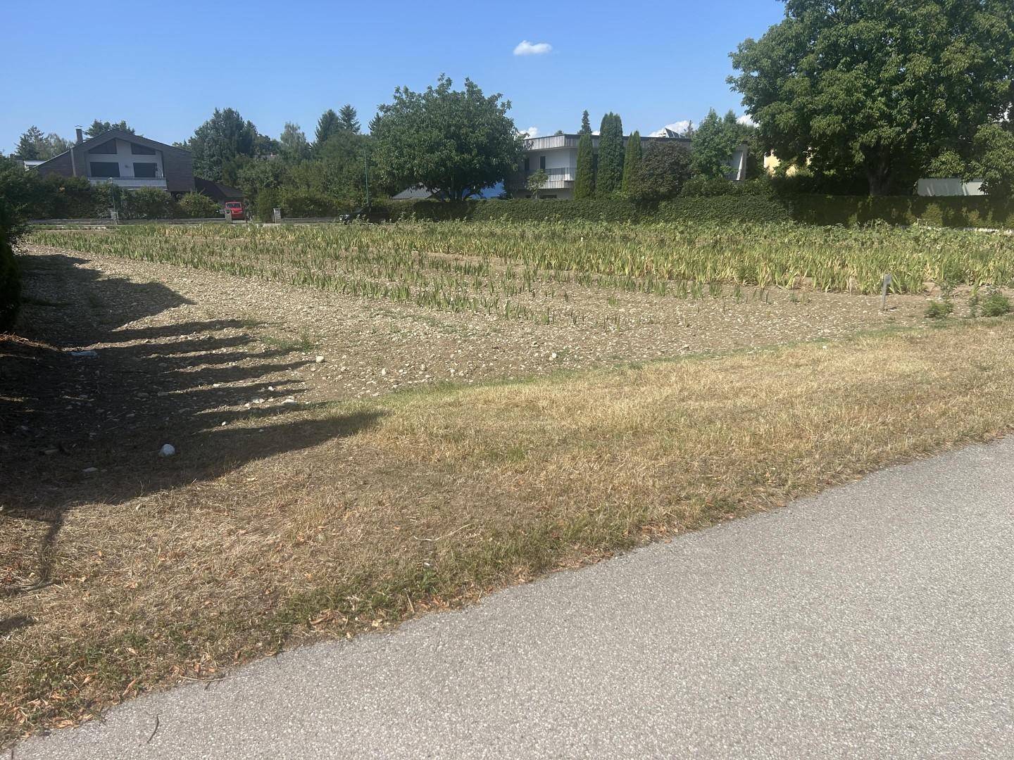 Weitläufiges Feld mit trockenen Grasflächen und Häusern im Hintergrund an einem sonnigen Tag.