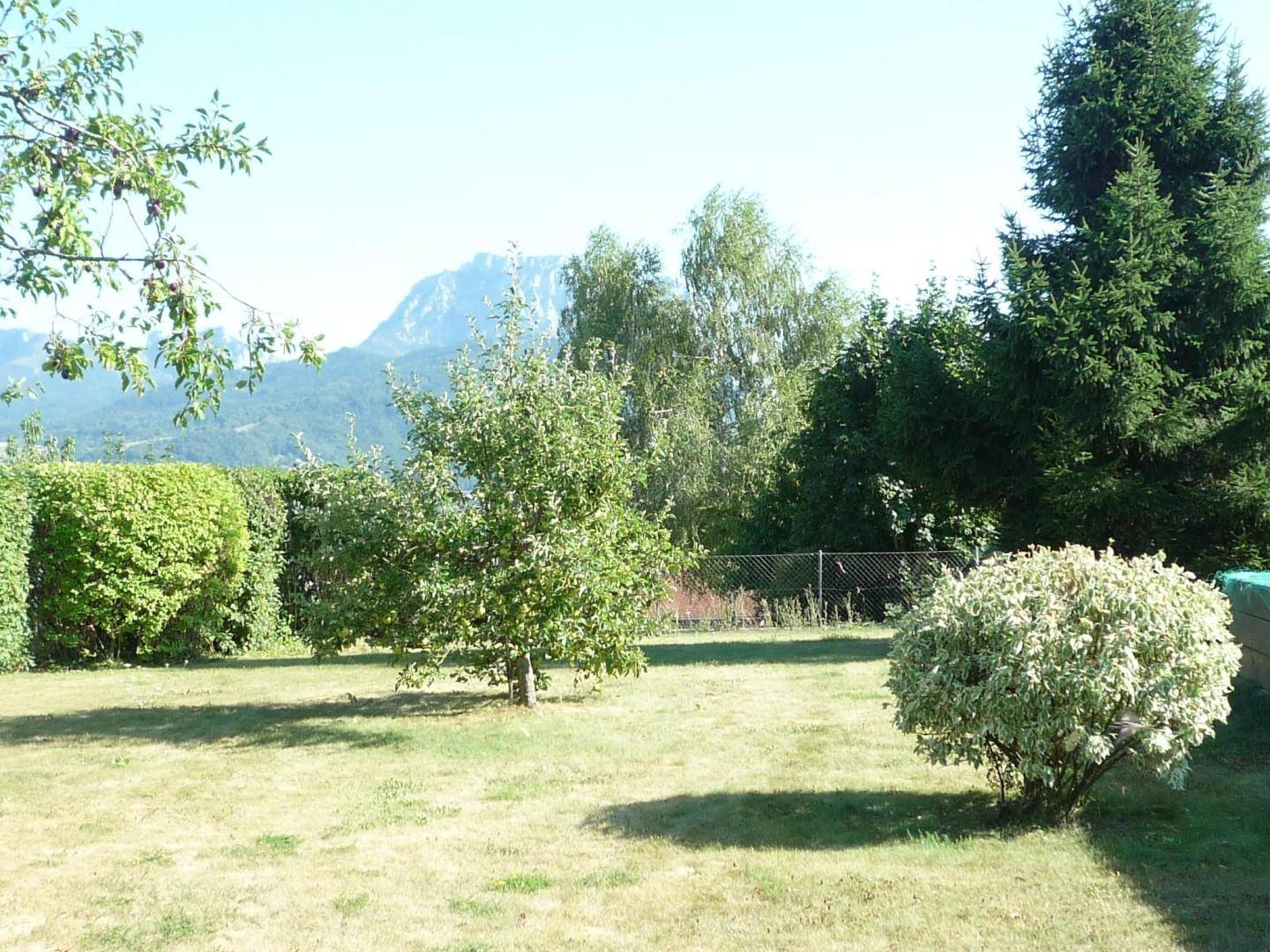 Sonniger Garten mit Rasen, Obstbäumen und einer Hecke, im Hintergrund ist ein Berg zu sehen.