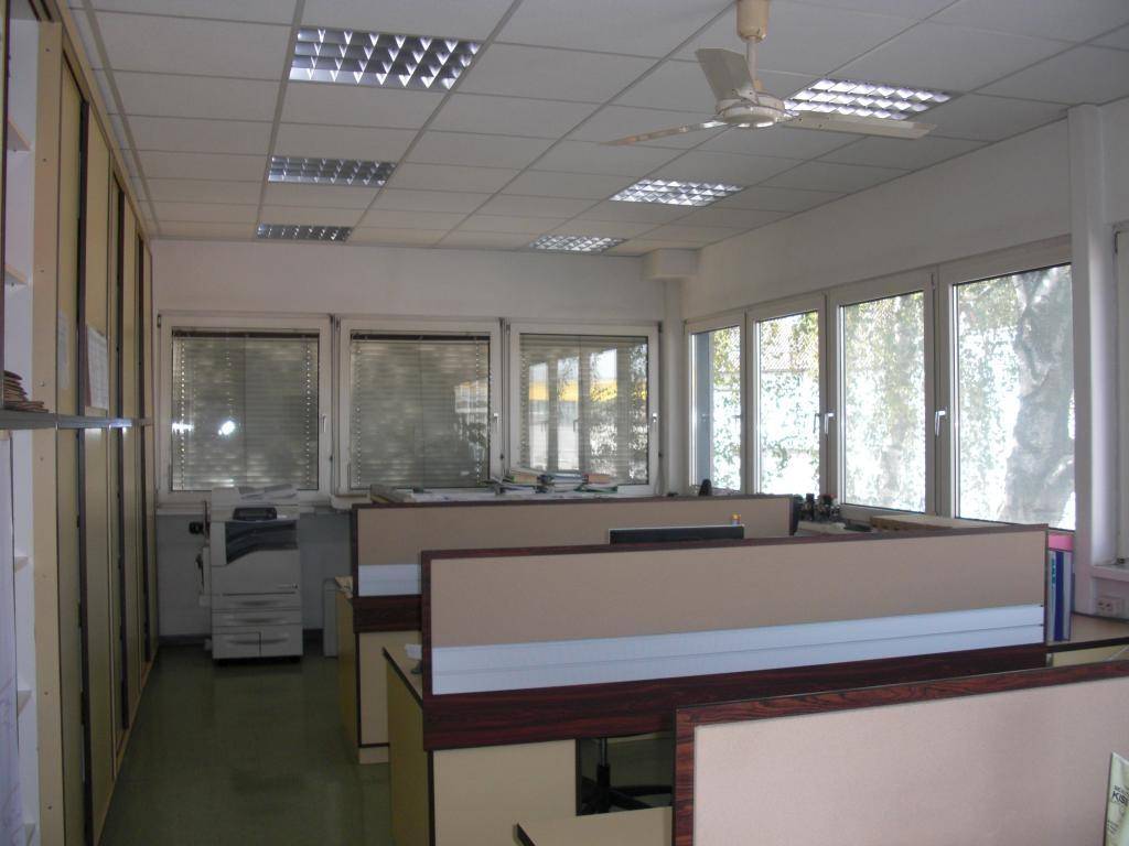 Büro mit mehreren Arbeitsplätzen, Deckenventilatoren und großen Fenstern mit Jalousien.