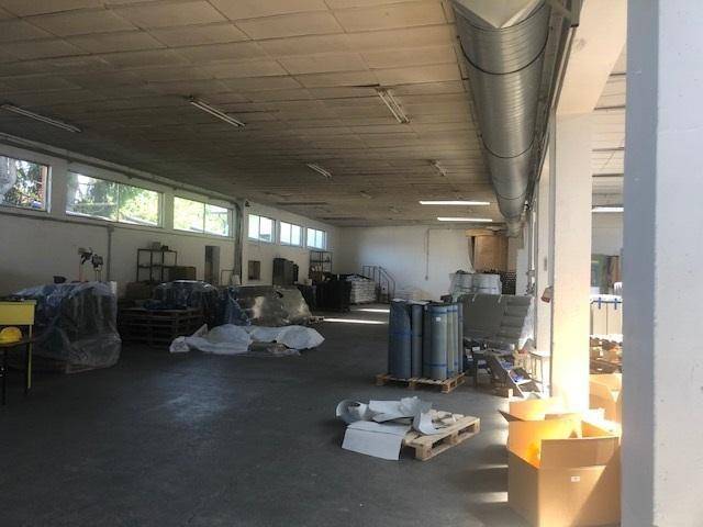 Weitläufige Lagerhalle mit Betonboden, Reihen von Fenstern und industrieller Beleuchtung, bereit zur Nutzung.