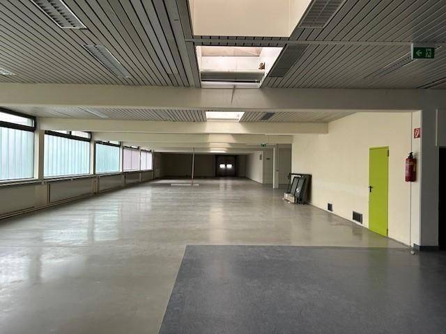 Großer, leerer Gewerberaum mit Betonboden, abgehängter Decke und Fensterfront.