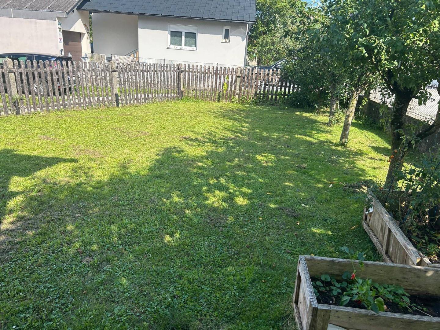Sonniger Gartenbereich mit gepflegtem Rasen und jungen Bäumen, ideal zum Entspannen im Freien.