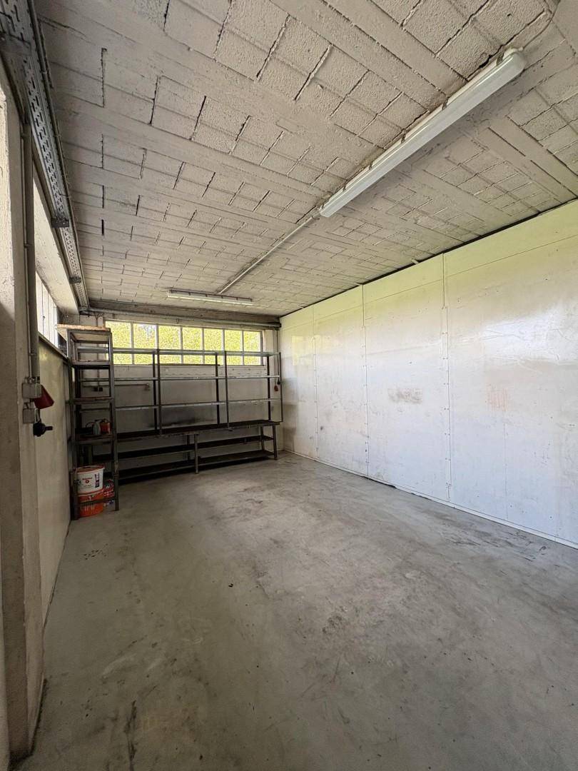 Lagerraum mit Betonboden, Regalen und kleinen Fenstern unter der Decke, funktional eingerichtet.
