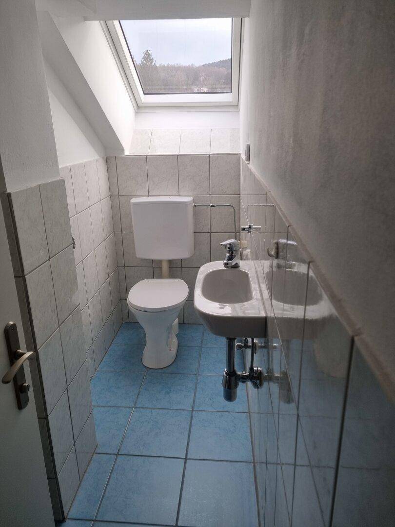 Separates WC mit Toilette, kleinem Waschbecken, Fliesenboden und Dachfenster.
