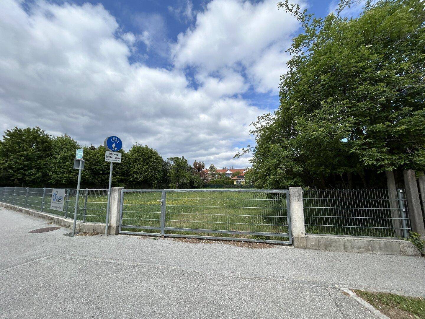 Eine große, grüne Wiese, umgeben von einem Metallzaun und Bäumen, unter einem bewölkten Himmel.