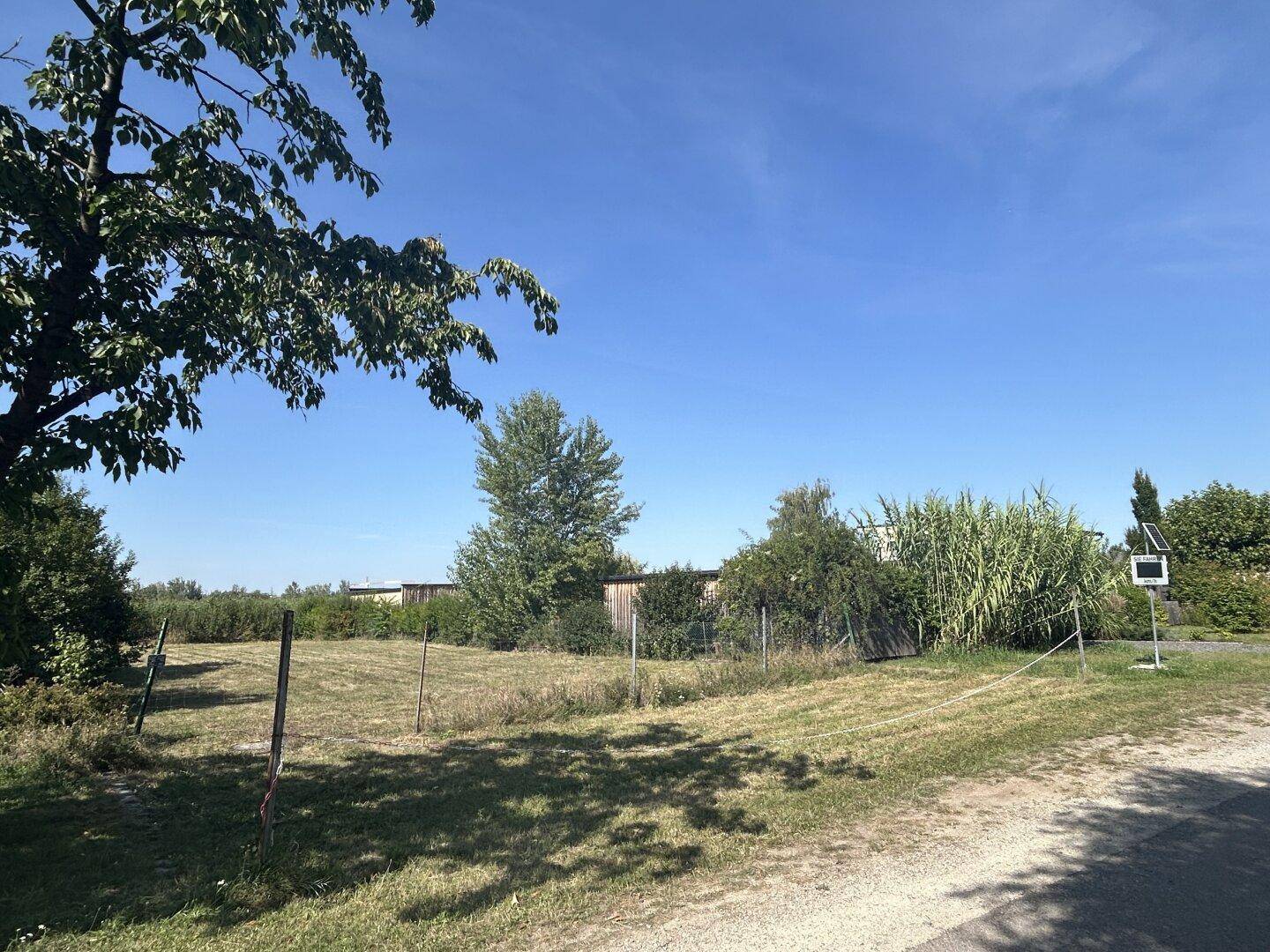 Weitläufiges Grundstück mit Grasfläche, umgeben von Bäumen und Sträuchern unter blauem Himmel.