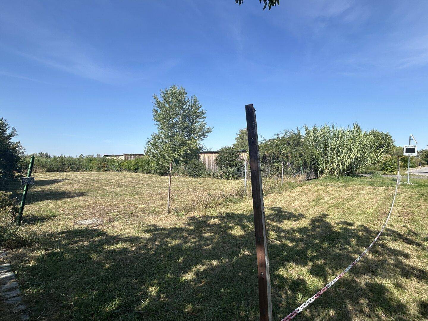 Großzügiges, unbebautes Grundstück mit Grasfläche und vereinzelten Bäumen unter strahlend blauem Himmel.
