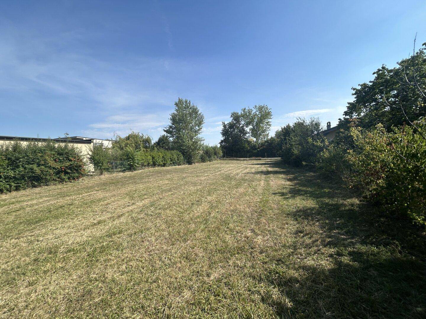 Weitläufige Grünfläche eines Grundstücks mit Baumbestand am Horizont unter einem weiten blauen Himmel.