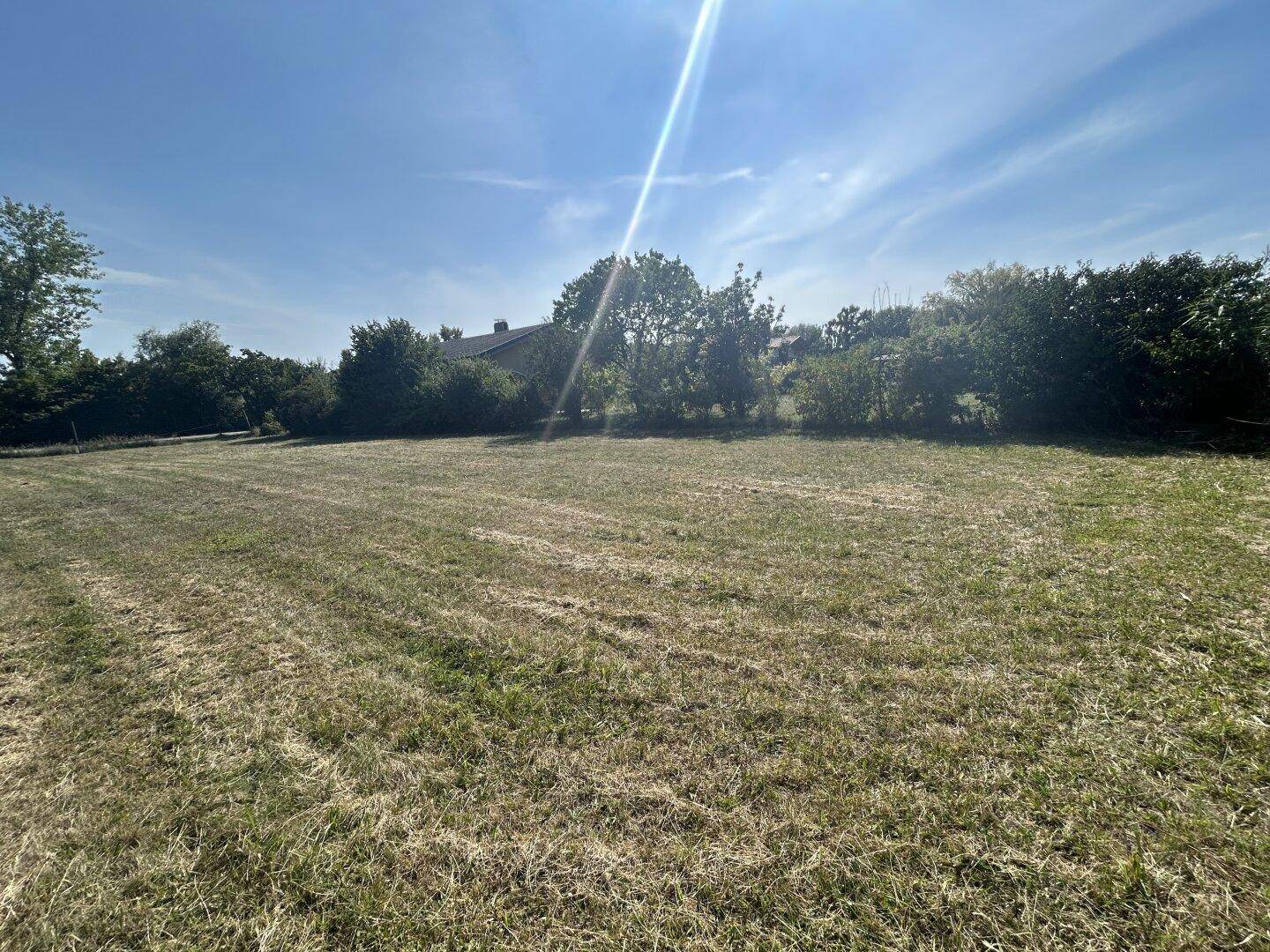 Sonniges, weitläufiges Grundstück mit Grasfläche und Blick auf ein entferntes Gebäude, umgeben von Natur.