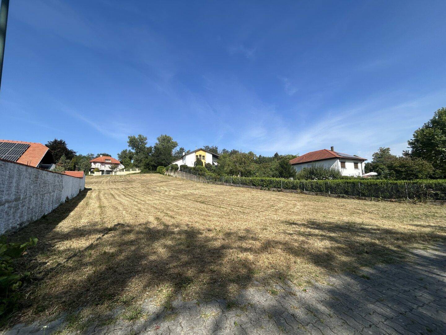 Sonniges Grundstück mit trockenem Gras und Schattenwurf, umgeben von Bäumen und Häusern.