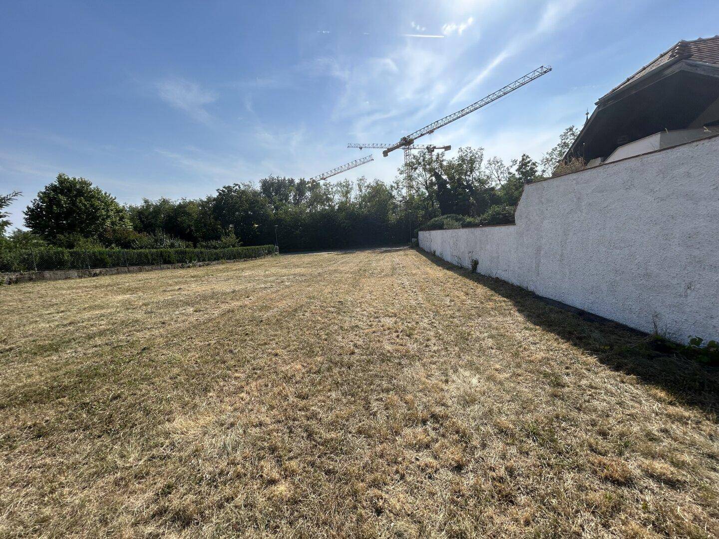 Großes, offenes Grundstück mit trockenem Gras, umgeben von einer Mauer und Bäumen, mit Kränen im Hintergrund.