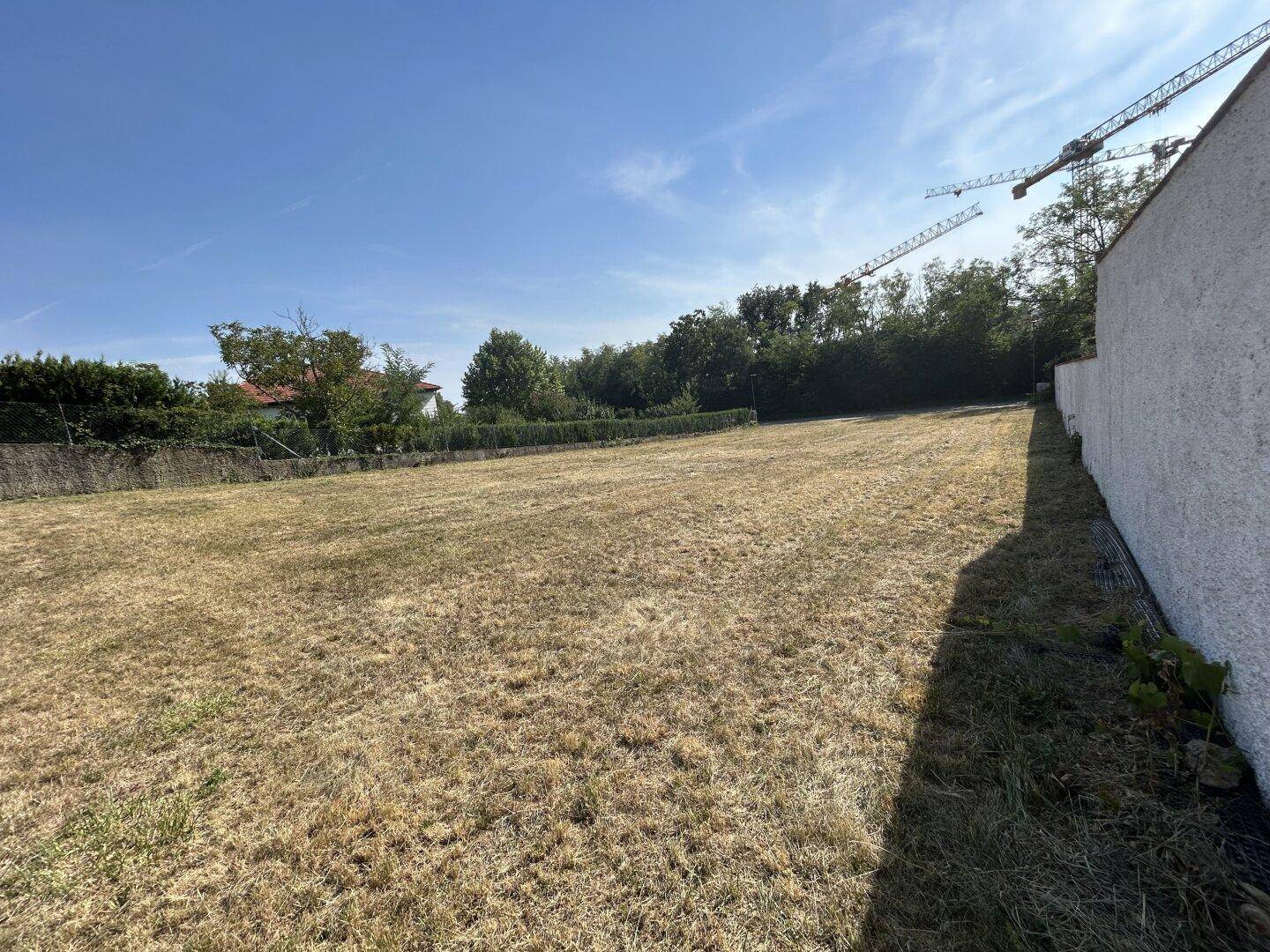 Weitläufiges Grundstück mit trockenem Gras und einer hohen Mauer, im Hintergrund sind Baukräne sichtbar.