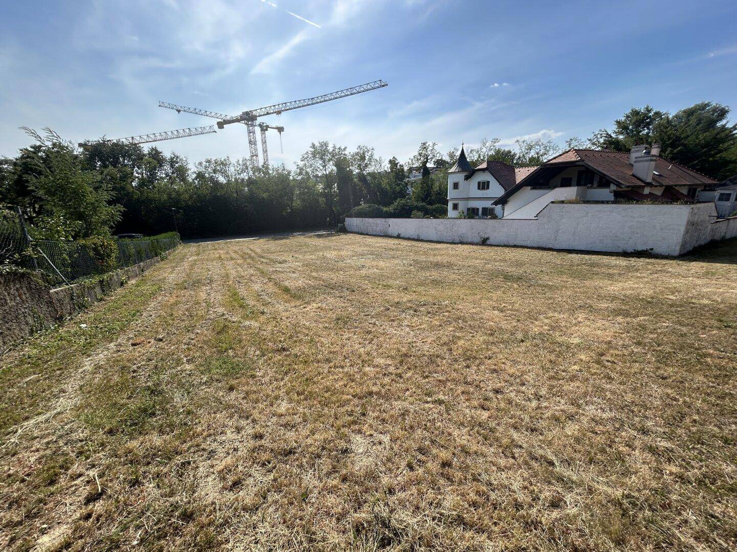 Sonniges Grundstück mit trockenem Gras, einer weißen Mauer und einem Haus im Hintergrund, Baukräne sichtbar.
