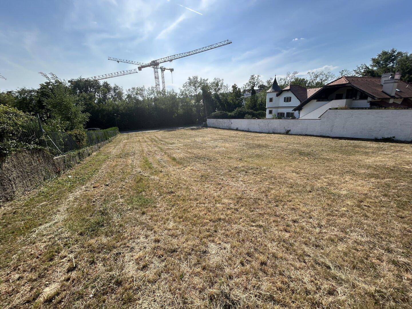Offenes Grundstück mit trockenem Gras, umgeben von einer Mauer und Bäumen, mit Baukränen am Horizont.